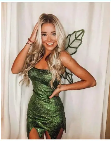 8 Amazing Fairy Halloween Costume for College: Check these dazzling fairy halloween costume ideas for 2021 party!